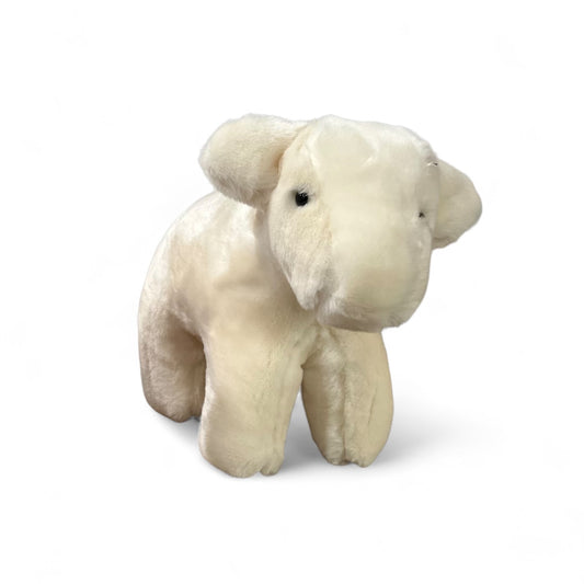 Charolais Medium Calf