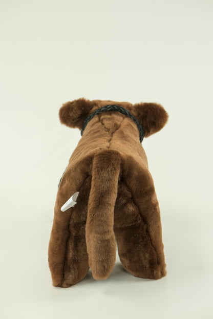 Medium Plush Red Angus Calf
